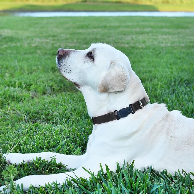 Dogline Biothane Waterproof Dog Collar with Herm Sprenger Black Stainless Steel Quick Release Buckle – Heavy Duty Tactical Durable Collar for Dogs – Comfortable and Safe Pet Collar W3/4" L12-19 Black