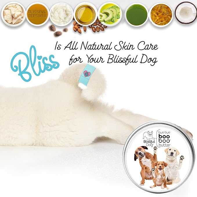The Blissful Dog Mixed Breed Boo Boo Butter, 16oz
