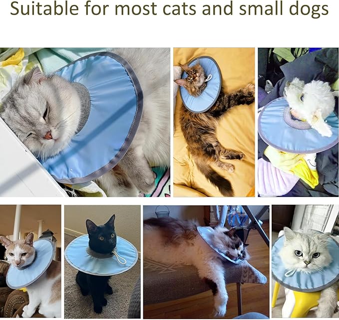 Waterproof Cat Recovery Collar, Adjustable Pet Cone Collar, Protective Cat Neck Cones to Stop Licking Wounds, Lightweight Kitten Cones After Surgery, Elizabethan E Collar for Cats, Small Dog, Puppy