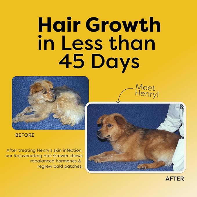 Doc Itchy Rejuvenating Hair-Grower Dog Pet Chews | 10mg Melatonin for Dogs | Hair Growth Booster | Senior Dog Energizer | Calming | Medical-Strength | Food Allergy Safe | Vegan | 90 Count