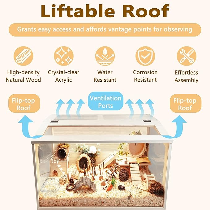 Prolee Hamster Cage Wooden Chew Proof, Extra Large Mice and Rat Habitat Openable Top with Acrylic Sheets Solid Built Small Animal Cage with Leg Stands, 24 Inch Long