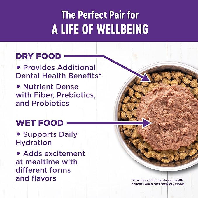 Wellness Complete Health Natural Grain Free Wet Canned Cat Food, Chicken & Lobster Pate, 5-Ounce Can (Pack of 24)