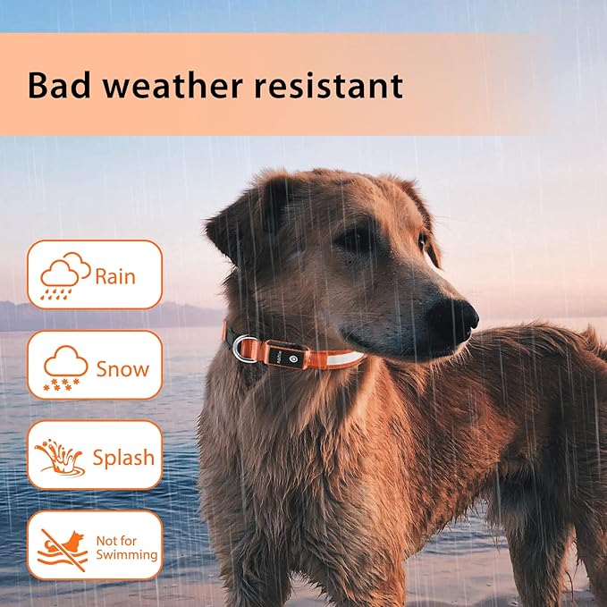 PcEoTllar Light up Dog Collar for Night Walking - LED Dog Collar Light Rechargeable Color Changing, Glow in The Dark Dog Collars Waterproof Glowing Dog Collars for Large Small Medium Dogs