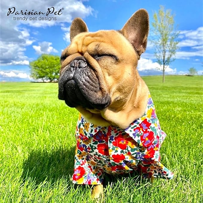 Parisian Pet Floral Dog Shirt - 100% Cotton Summer Clothes - Stylish Beach Outfit - Hook and Loop Closure - Machine Washable - XS