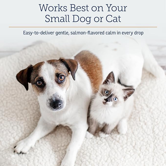 Rx Vitamins Liquid NutriCalm Cat & Small Dog Anxiety Relief - Sleep Aid - Calming Supplement - Dog Bark Control & Stress Relief - Salmon Flavor - 4 oz