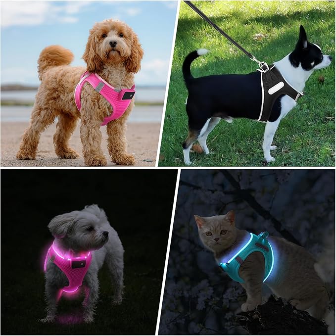 PceoTllar Light Up Dog Harness, LED No Pull Reflective Dog Harness, Flashing Lighted for Night Walking - Small/Medium, (Pink,L)