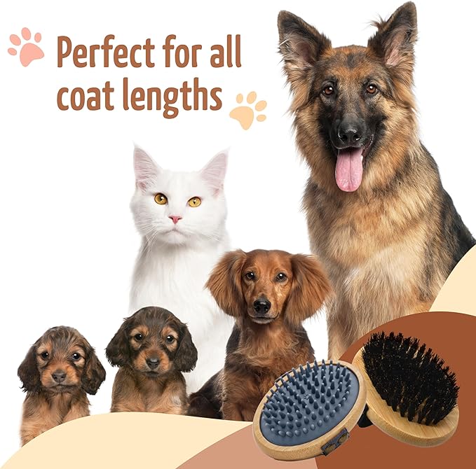 The Buddy System Pet Close Brush, Soft Touch Oval Palm Brush - Bamboo Massage Handheld with Soft Boar Bristles and Elastic Band for Dogs and Cats (2-pack, 1 Brush + 1 Rubber)