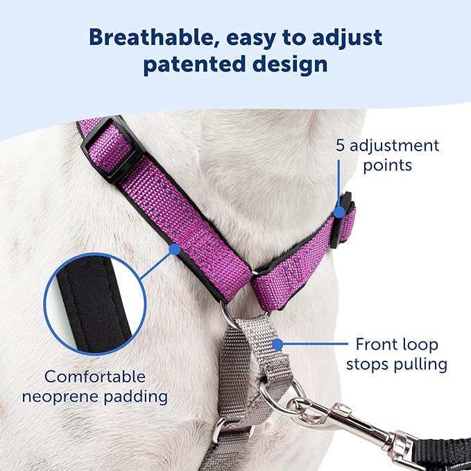 PetSafe 3 in 1 Dog Harness - No Pull Solution for Dogs - Reflective Dog Harness - Front D-Ring Clip Helps Stop Pulling - Comfortable Padded Straps - Top Handle Enhances Control - Teal - Large