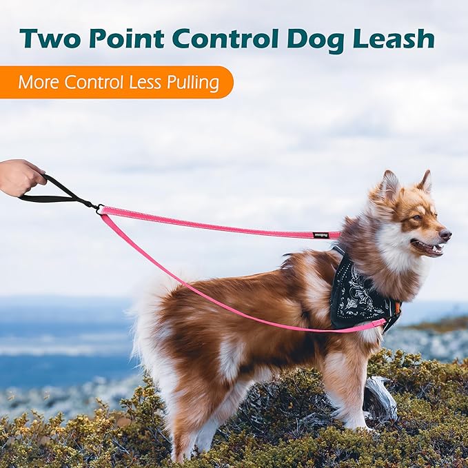 PetBonus Two Point Control Dog Leash, Works with No Pull Harnesses, No Tangle Training Leashes, Soft Padded and Reflective Walking Lead, Converts to Single Lead for Medium Large Dogs (Pink)