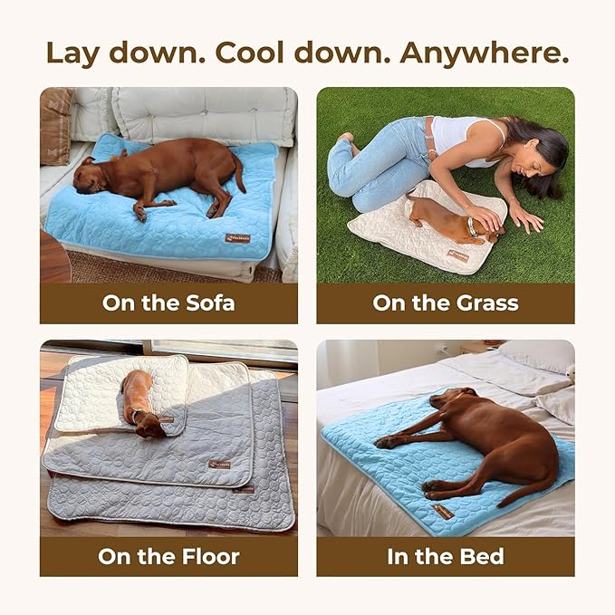 Dog Cooling Mat- Ice Silk Summer Comfort, Self Cooling, Non-Slip Dog Pad, Durable & Washable, Mat for Medium Dogs 50x65 cm, Support Shelter Dogs with Every Purchase (Beige)