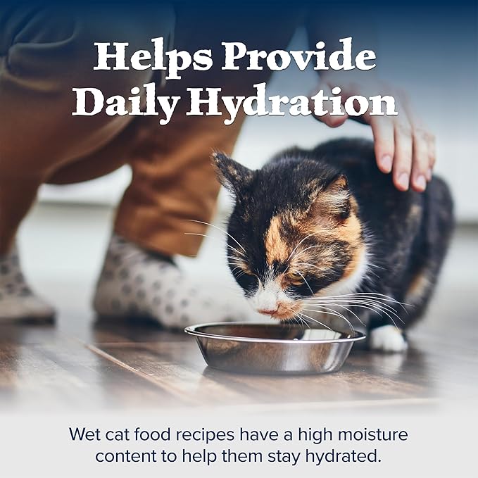Blue Buffalo Wilderness Wild Delights Meaty Morsels Wet Cat Food, High-Protein & Grain-Free, Made with Natural Ingredients, Chicken & Turkey Recipe in Tasty Gravy, 3-oz. Cans (24 Count)