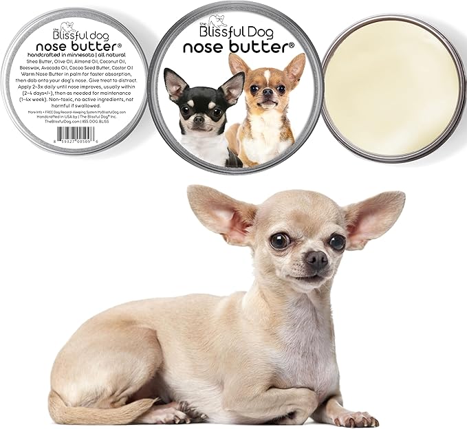 The Blissful Dog Short Coat Chihuahua Unscented Nose Butter - Dog Nose Butter, 16 Ounce