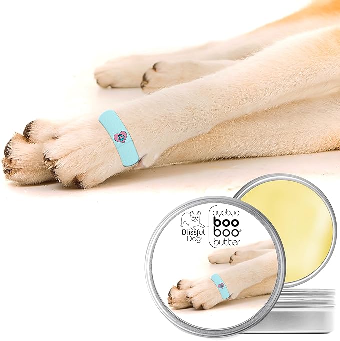 The Blissful Dog Boo Boo Butter, 16oz