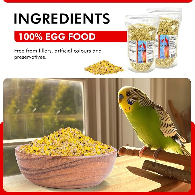 Morning Bird Eggfood 3 lbs (2-Pack, 1.5 lbs Each) – Protein Food with Essential Amino Acids, Vitamins & Minerals – Supports Growth & Feather Health – Ideal Bird Seed for Breeding and All Bird Types