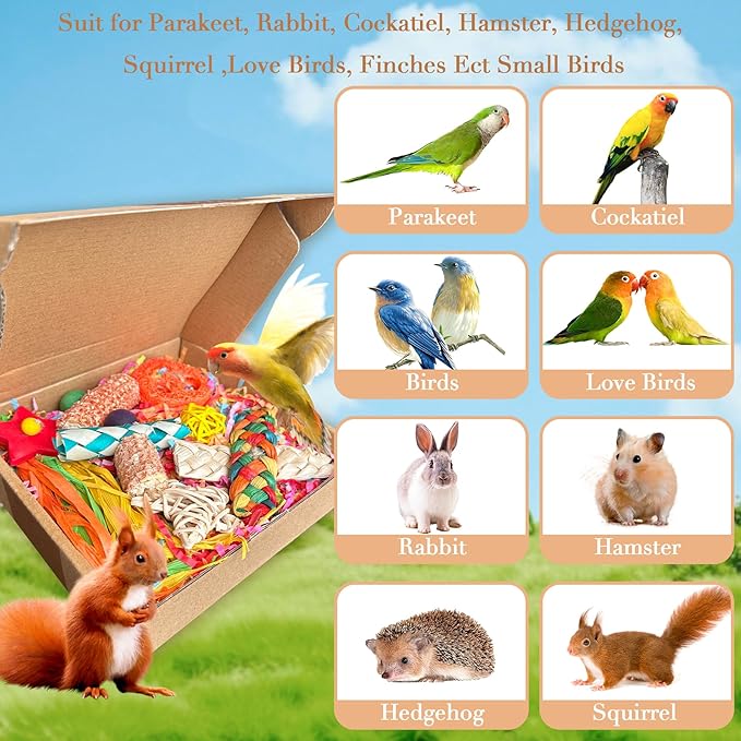 Bird Toys For Cockatiels, Tyotrbs Bird Toys For Conures Parakeet Toy BirdsToy For Parrots Birds Foraging Toy ParrotToys BirdCage Accessories Lovebird Cage Accessories for Small Birds