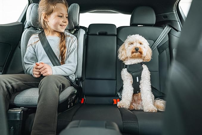 Thule Cappy Dog Harness L - Crash-Tested for Safety - Seatbelt passthrough - Adjustable & Easy to Clean - Padded Breathable mesh Panels - Leash Loop - Step-in Design