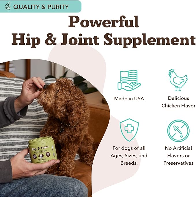 Natural Dog Company Hip & Joint Chews, Chicken Liver & Turmeric Flavor, with Glucosamine Chondroitin for Dogs, Maintains Bone and Joint Health, Supplements for Seniors and Puppies, 90 Count