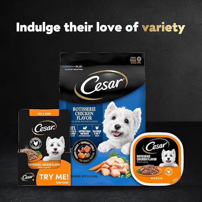 Cesar Filets in Gravy Wet Dog Food Rotisserie Chicken Flavor, 1.76 oz. Mini-Pouch (20 Count, Pack of 1)