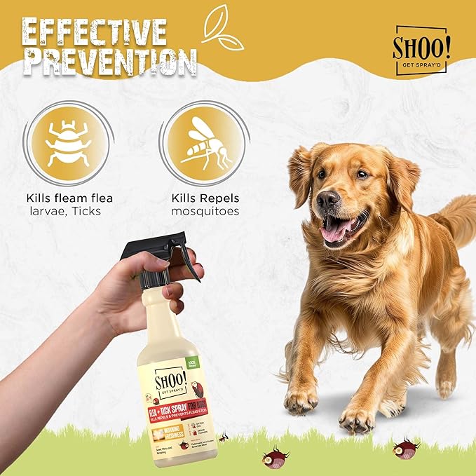 Shoo! Flea & Tick Spray for Dogs and Home | Plant Based, Natural Oils, Chemical Free Formula | Kills, Repels, Prevents | 16 oz (Morning Freshness)