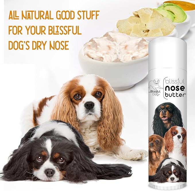 The Blissful Dog Cavalier King Charles Spaniel Nose Butter, Versatile Dog Nose Balm for Dry Nose, Handcrafted Nose Moisturizer, Easy-to-Apply Dog Essentials, Unscented, 0.50 oz.