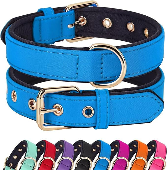 Didog Soft Padded Dog Collars for Small Dogs, Lightweight and Breathable Dog Collar with Metal Buckle for Puppy, Blue, S