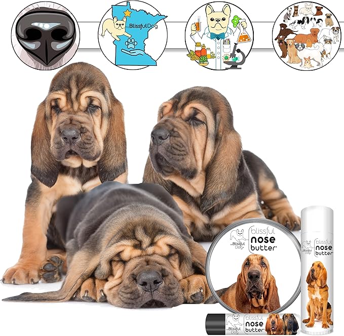 The Blissful Dog Bloodhound Nose Butter for Dry, Cracked Skin, Lick-Safe Dog Nose Balm with Moisturizing Shea Butter, Almond, Olive, and Essential Oils, Pet Supplies, Uncented, 2 oz.