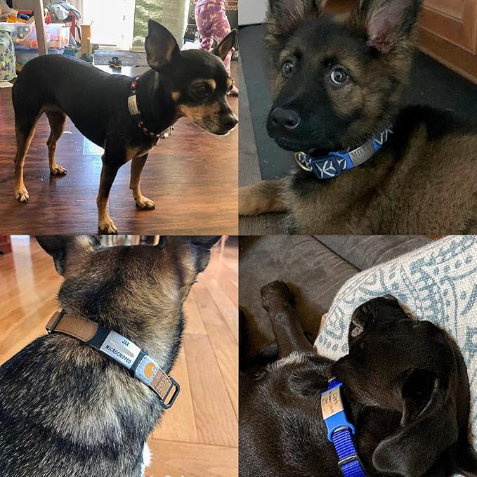 Personalized Dog ID - Engraved Dog Name Tag - Slide On Cat ID - Silent Customized Pet ID Tags for Small, Medium, Large Dogs & Cats