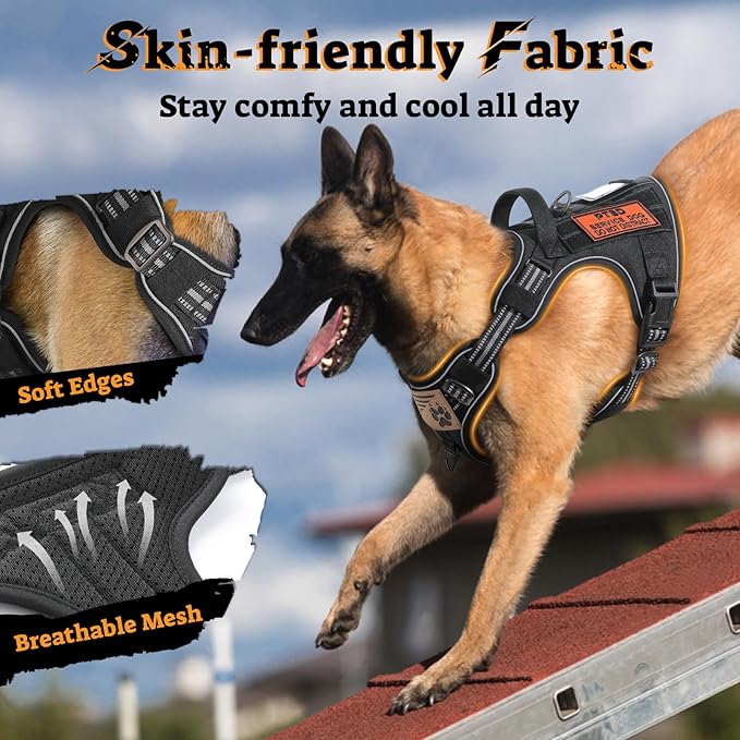 rabbitgoo Dog Harness for Large Dogs No Pull, Tactical Service Pet Vest with Molle and Control Handle, Adjustable and Reflective Military Harness for Easy Walking and Training, Black, XL
