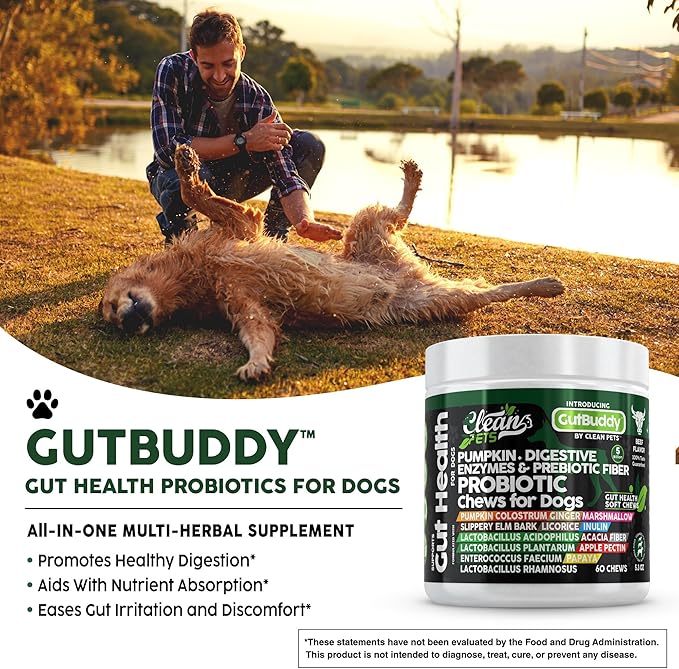 Probiotics for Dogs with Pumpkin, Colostrum, Digestive Enzymes, Ginger, Slippery Elm, Licorice, Inulin Fiber & More | Beef Flavor Soft Chews for Gut Health and Digestion Dog Supplement