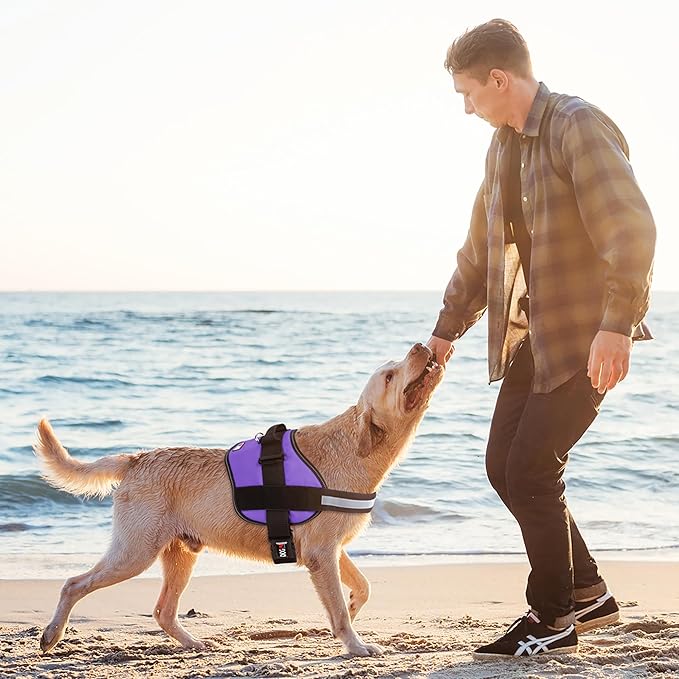 Dogline Dog Harness, Reflective No-Pull Adjustable Vest with Handle, Breathable No-Choke Harness for Small, Medium or Large Dogs Room for Patches Girth 18 to 24 in Purple