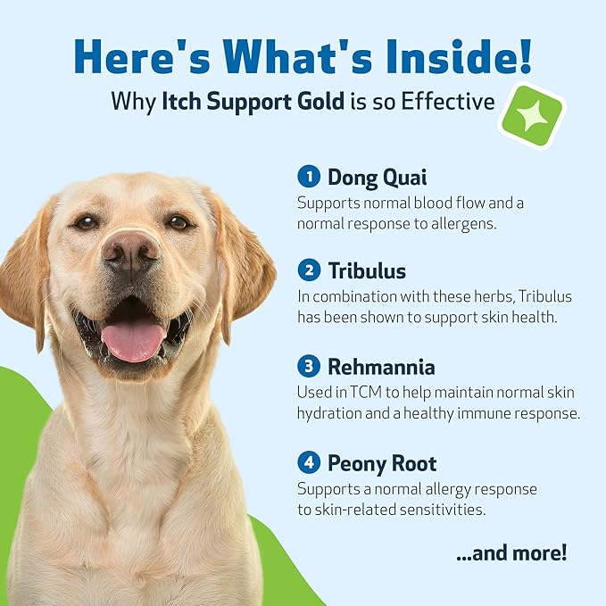 Pet Wellbeing Itch Support Gold for Dogs - Occasional Itching, Scratching, and Hot Spots, Environmental and Seasonal Allergies, Dong Quai - Veterinarian-Formulated Herbal Supplement 2 oz (59 ml)
