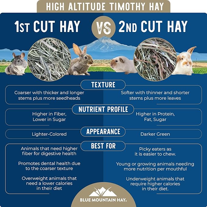 Blue Mountain Hay | Fresh 2nd Cutting Timothy Grass Hay (5 Pounds) | Soft & Leafy, Balanced Nutrition | High-Altitude Hay Pet Food for Adult Rabbits, Guinea Pigs, Chinchillas, and Other Small Pets