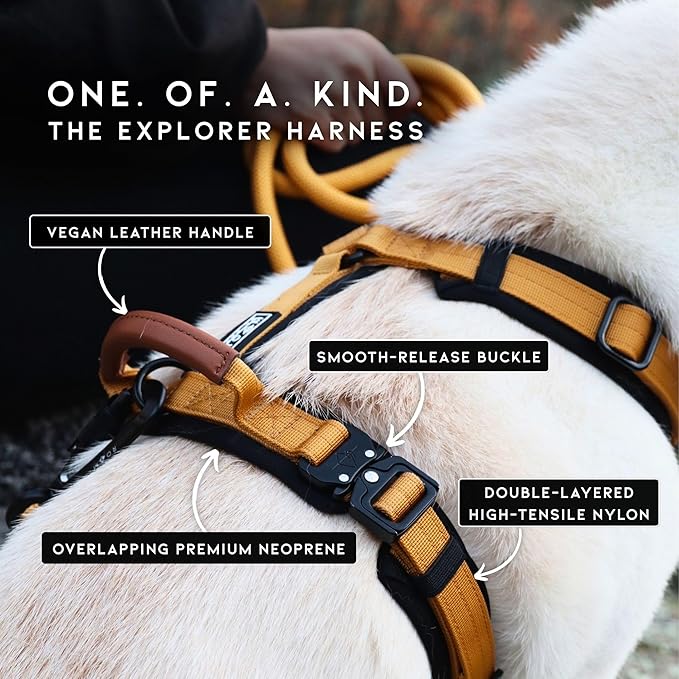 MADE TO ROAM Premium Explorer Harness - Y-Shaped Dog Harness with Adjustable Durable Nylon, Soft Padding, Metal Buckles and Leather Handle for Small, Medium, Large Dogs (Utah Glow, Size 5)