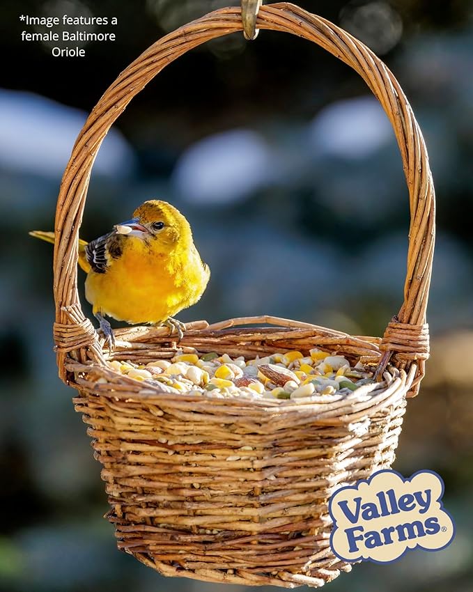 Valley Farms Woodpecker Mix (15 LB) Wild Bird Food for Outdoor Feeders, No Mess Bird Seed, W/Peanuts and Sunflower Hearts for Birds, Woodpecker Food, Attract All Bird Species
