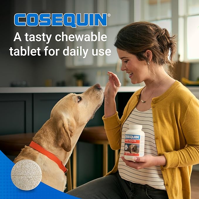 Nutramax Cosequin for Dogs Joint Health Supplement, Contains Glucosamine for Dogs, Plus Chondroitin and MSM, Supports Healthy Joints, Chewable Tablets, 250 Count