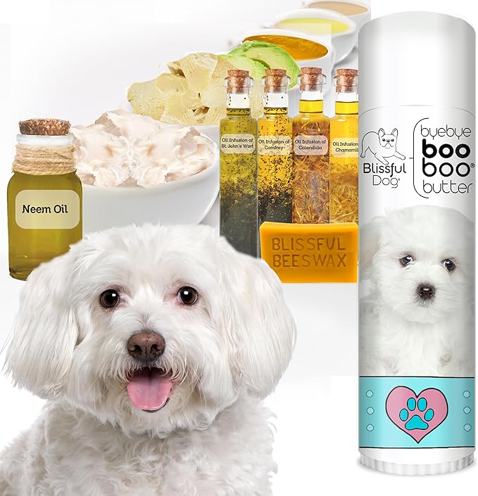 The Blissful Dog .50 oz Tube Maltese Booboo Butter