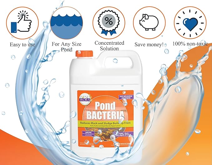Pondworx Pond Bacteria - Formulated for Water Features and Safe for Koi (4 Gallon Value Pack)