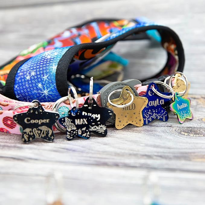 Personalized Dog Tag with 5 Lines of Custom Deep Engraved Durable Stainless Steel Pet ID Name Tag Designer Regular Size Star