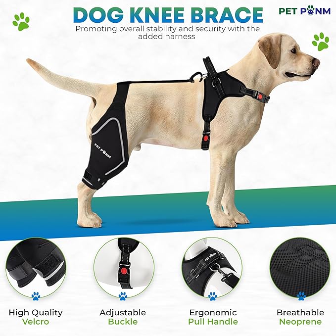 Dog ACL Knee Brace for Back Left Leg - with Integrated Harness - for Cruciate Ligament Injuries, Patellar Luxation, Post-Surgery Recovery. Durable, Breathable Material, Eases Pain - (XLarge)
