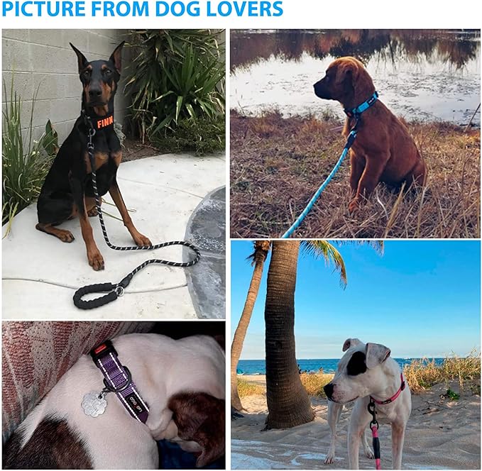 Heavy Duty Dog Leash - Comfortable Padded Handle, 5 ft Long - Dog Leashes for Small Medium Large Dogs (Leash+Collar M Neck 16"-20", Blue)