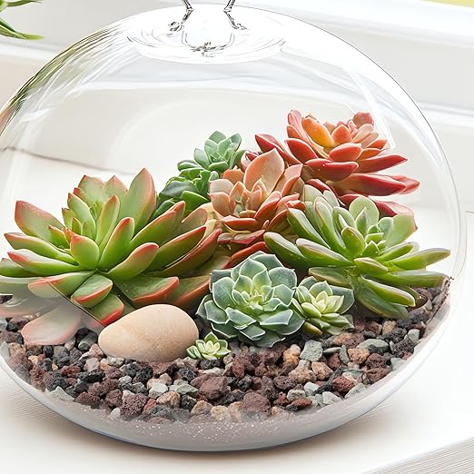 5lbs Terrarium Rocks for Pots Indoor, Succulent, Cactus, Bamboo, Bonsai Tree, 1/5 Inch Rocks for Planters Drainage, Mixed Color Small Lava Rocks for Top-Dressing