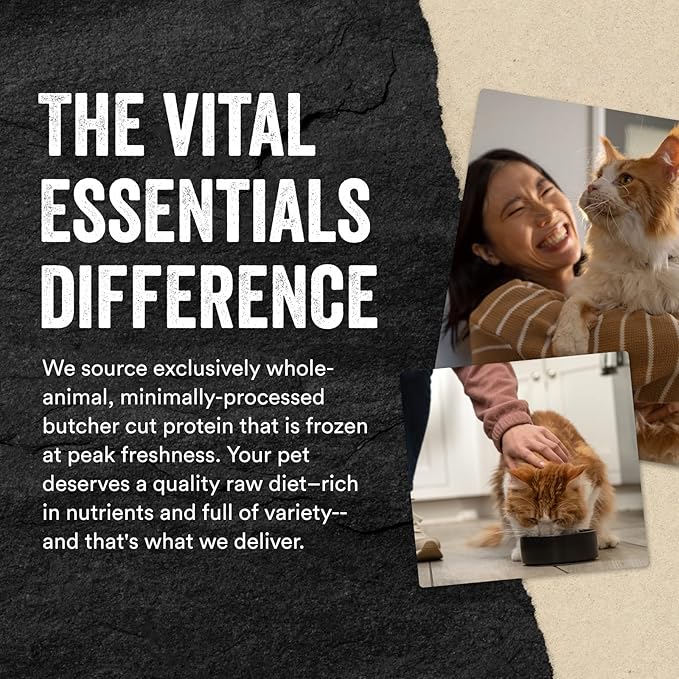 Vital Essentials Rabbit Bites Cat Treats, 0.9 oz | Freeze-Dried Raw | Single Protein | Grain Free, Gluten Free, Filler Free