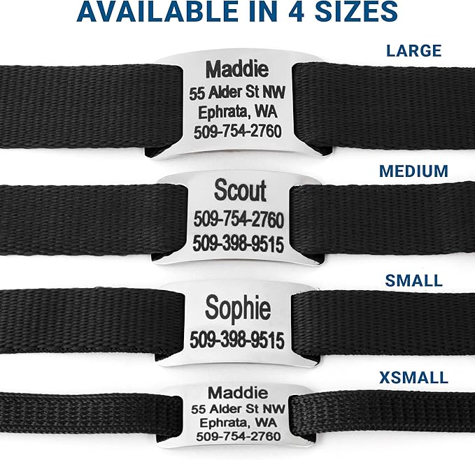 GoTags Personalized Dog Collar with Nameplate, Adjustable Dog Collar with Custom Engraved Slide On Pet ID Tag in Stainless Steel, Silent, No Noise Dog Tag for Large Medium and Small (Black, Medium)