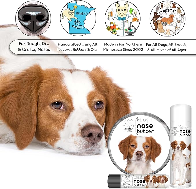 The Blissful Dog Brittany Spaniel Nose Butter for Dry, Cracked Skin, Lick-Safe Dog Nose Balm with Moisturizing Shea Butter, Almond, Olive, and Essential Oils, Pet Supplies, Uncented, 4 oz.