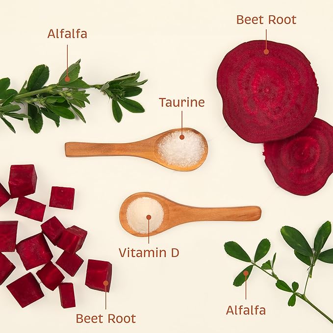 Health + Vitality for Dogs - Pet Supplement for Immune System, Coat, Liver Health & More - Dog Multifunctional Support with Choline, Calcium, Zinc, & Vitamins D and A - 90 Chewable Wafers