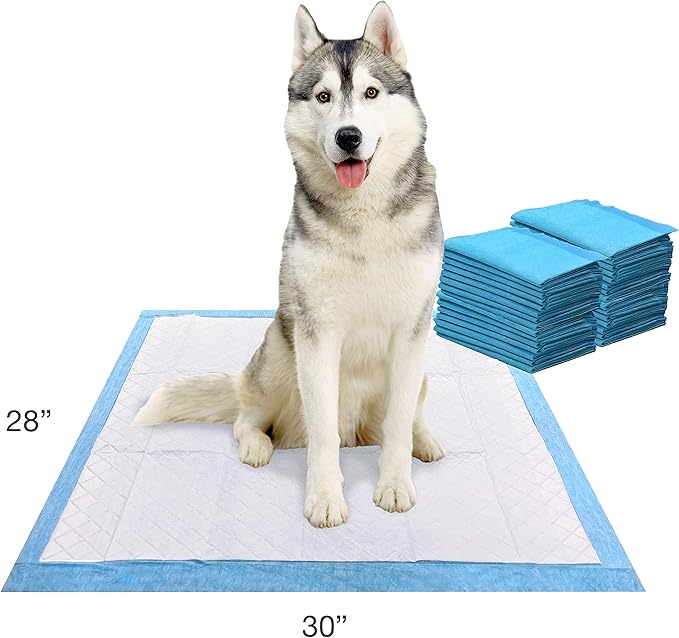 Four Paws Wee-Wee Odor Control with Febreze Freshness Pee Pads for Dogs & Puppies, Leak-Proof Dog Housebreaking Potty Training Floor Protection, Spring Fresh Scent, 28" x 30", 30 Count