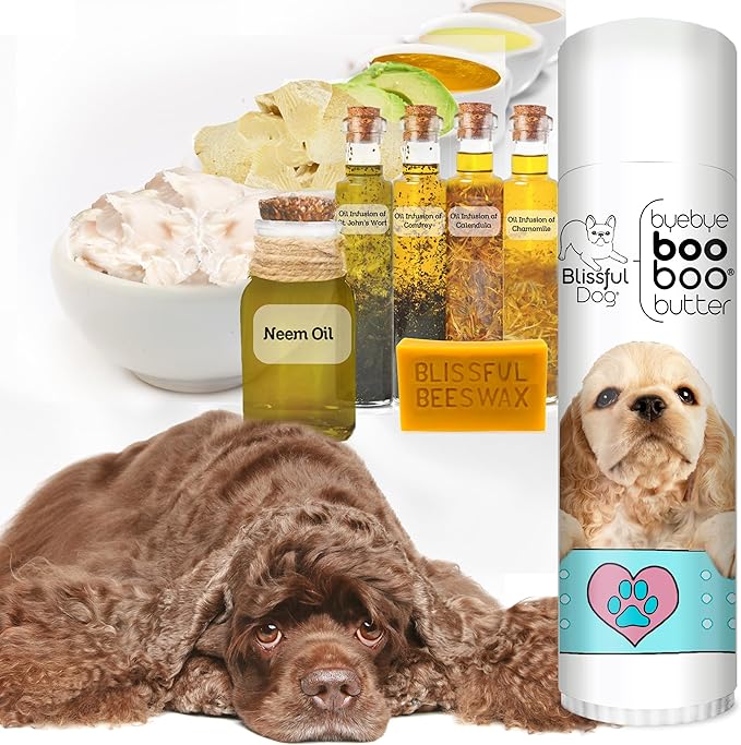 The Blissful Dog .50 oz Tube Cocker Spaniel Booboo Butter