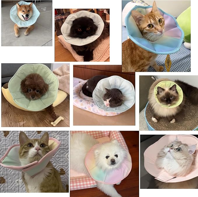 Touchdog Foldable Dog Cone Collar for Cats & Dogs - Adjustable Soft Recovery Collar with Waterproof PU Coating, Lightweight Design, 24.5cm/9.6in Wide Barrier (Pink Gradient Color, M)