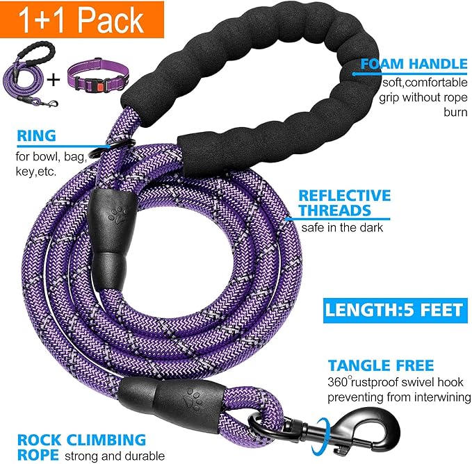 Heavy Duty Dog Leash - Comfortable Padded Handle, 5 ft Long - Dog Leashes for Small Medium Large Dogs (Leash+Collar XS Neck 10.5"-13.5", Purple)