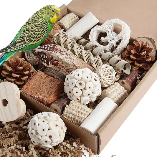 Kyouki Bird Toys Parrot Toys Natural Bird Foraging Box Foot for Parakeets,Cockatiels,Conures,Love Birds,and Other Small to Medium Birds (Medium)